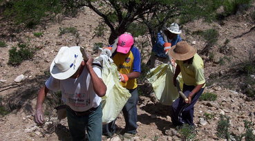 Image description