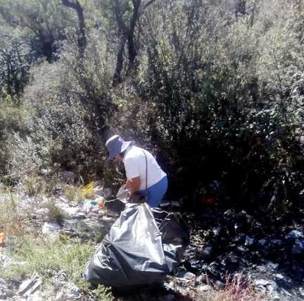 Image description